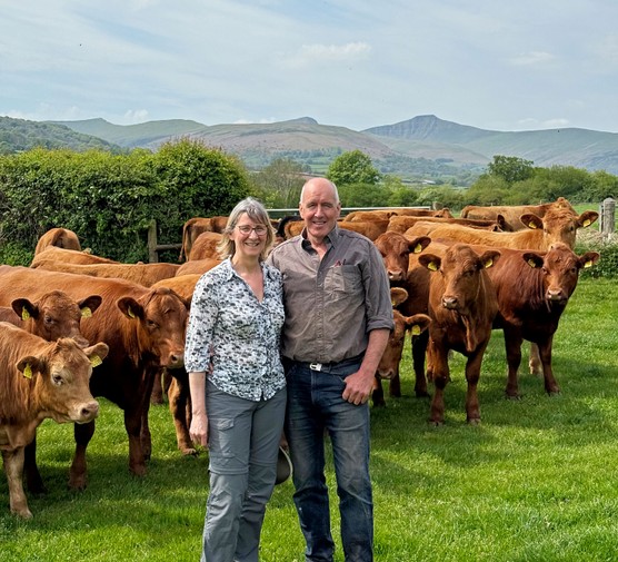 Couple stood in front of cows