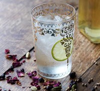 Gin in glass with cucumber and botanicals