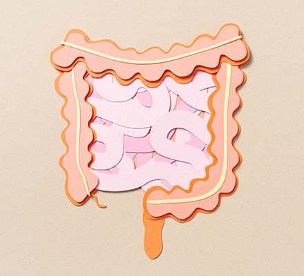 Your gut and metabolism are linked – here’s what to eat to help both Gut health metabolism